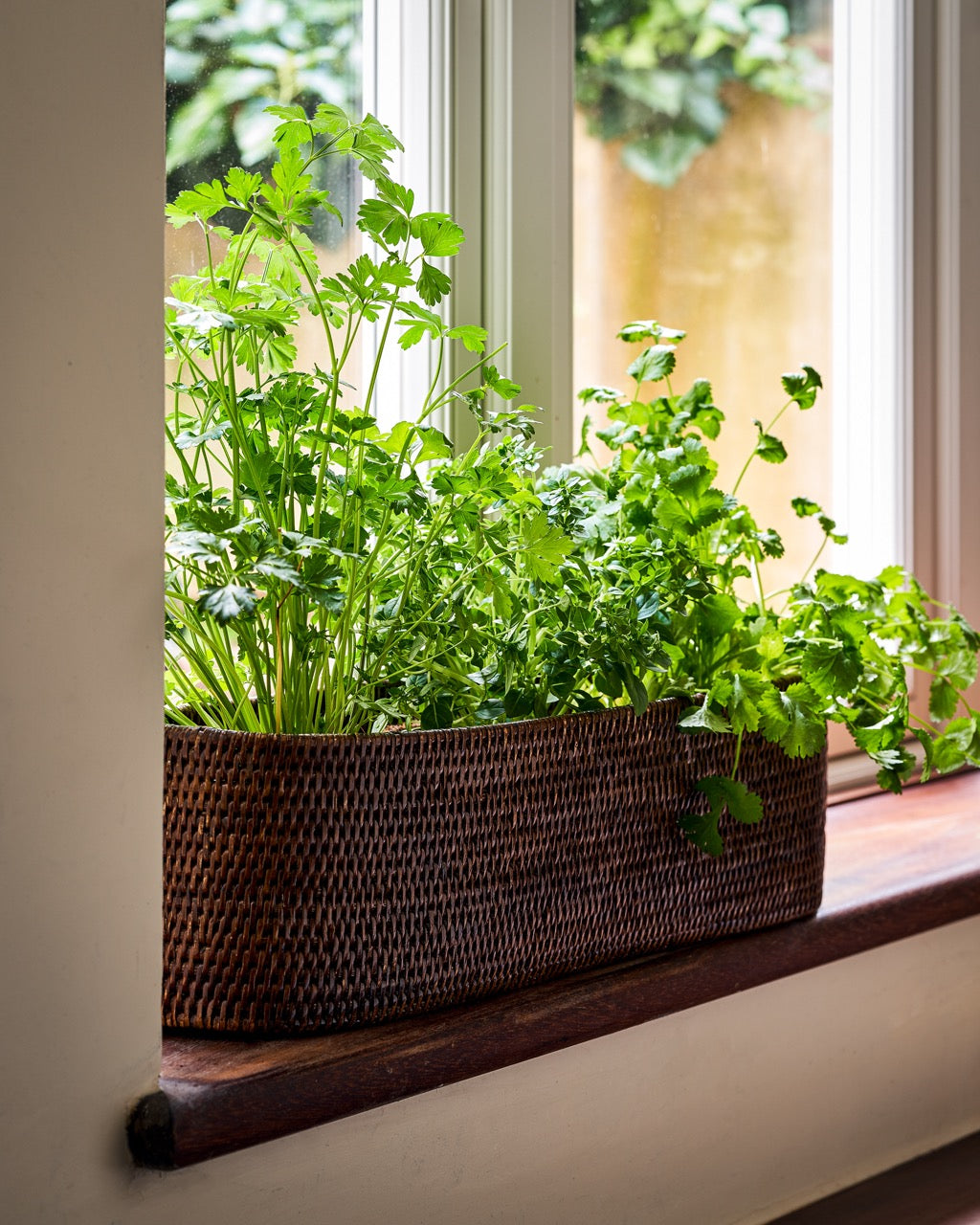 oval planter indoor Oval Rattan Planter Pot - Brown