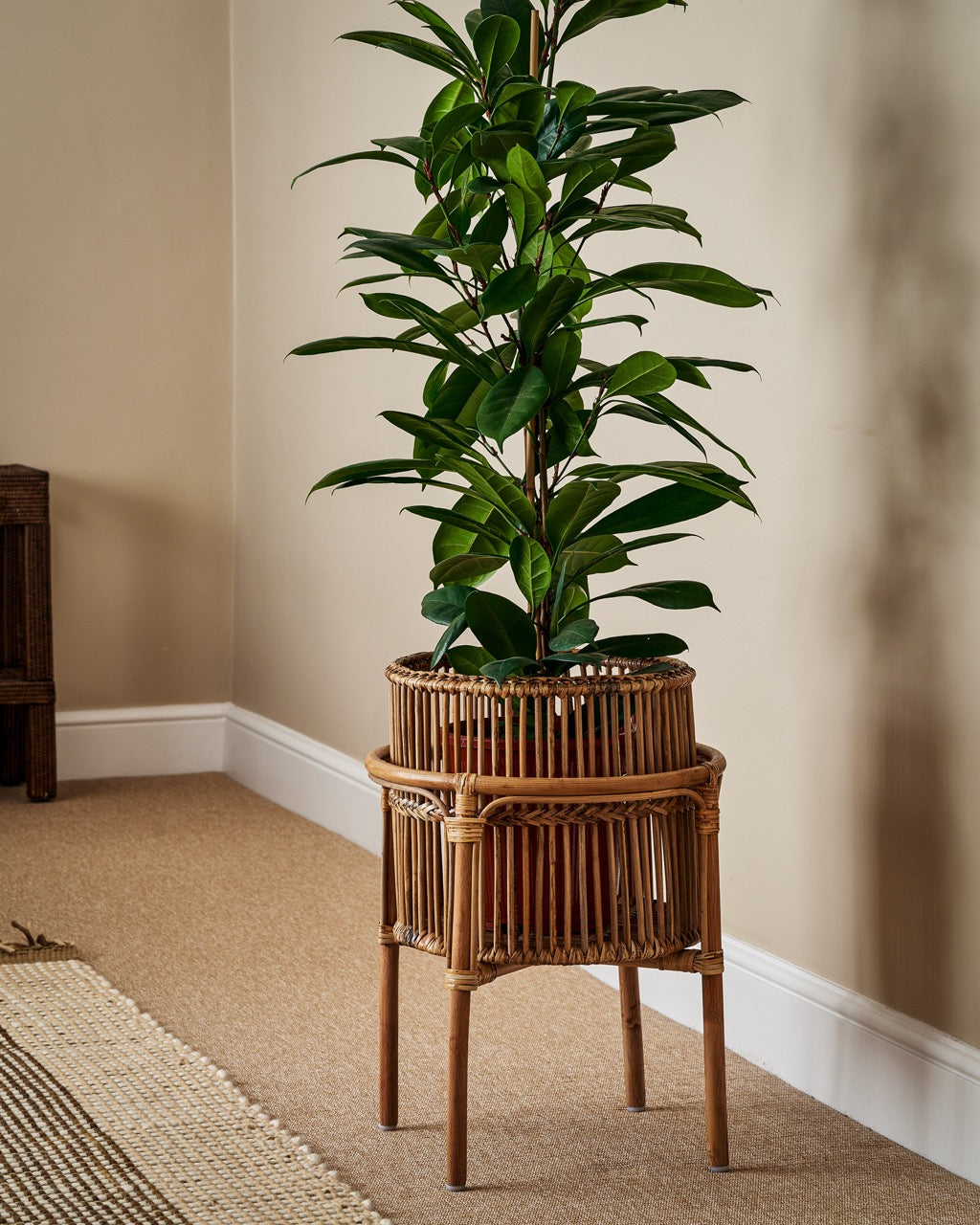 large plant pots indoor with stand Rattan Planter & Stand
