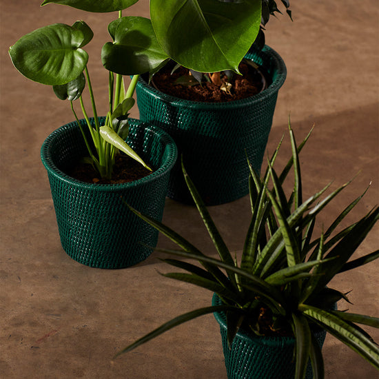 Kanbalu Planter | Dark Green | Large