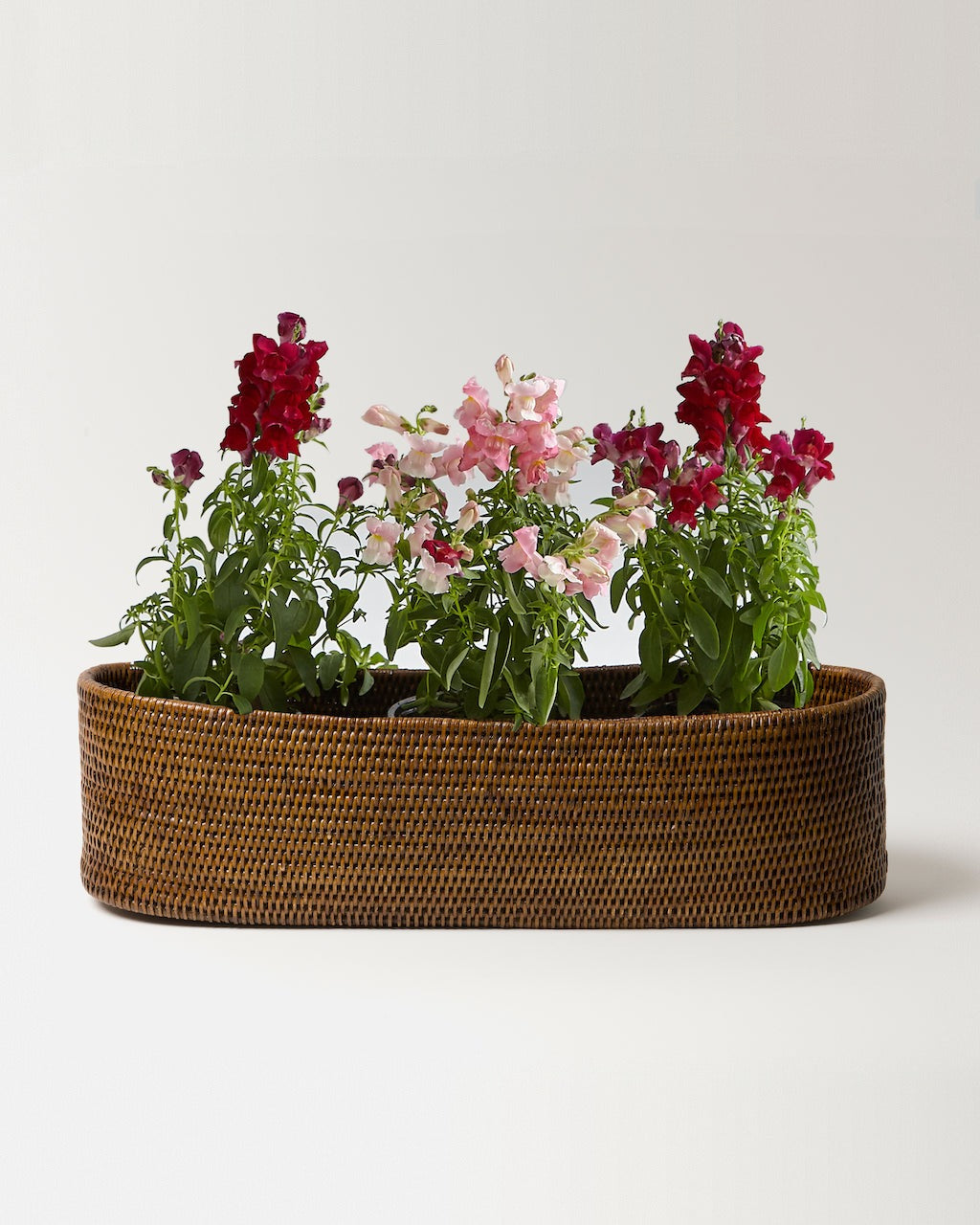 Kethi oval rattan planter, side view