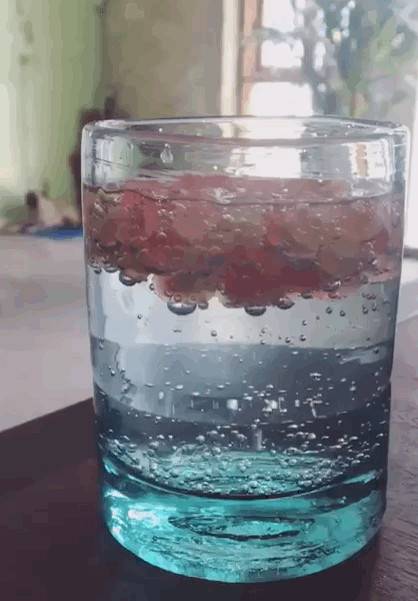 SPOTLIGHT: Glassware