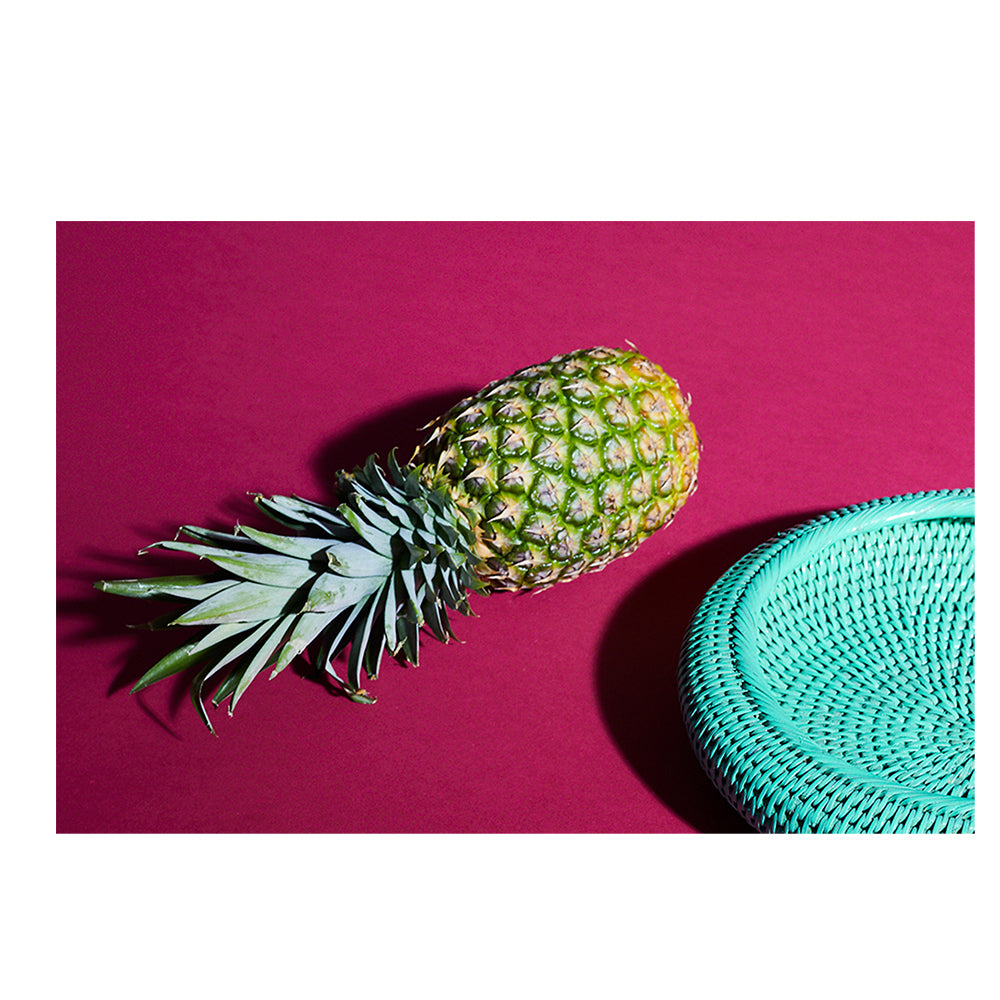 Tropical Collection...COMING SOON!