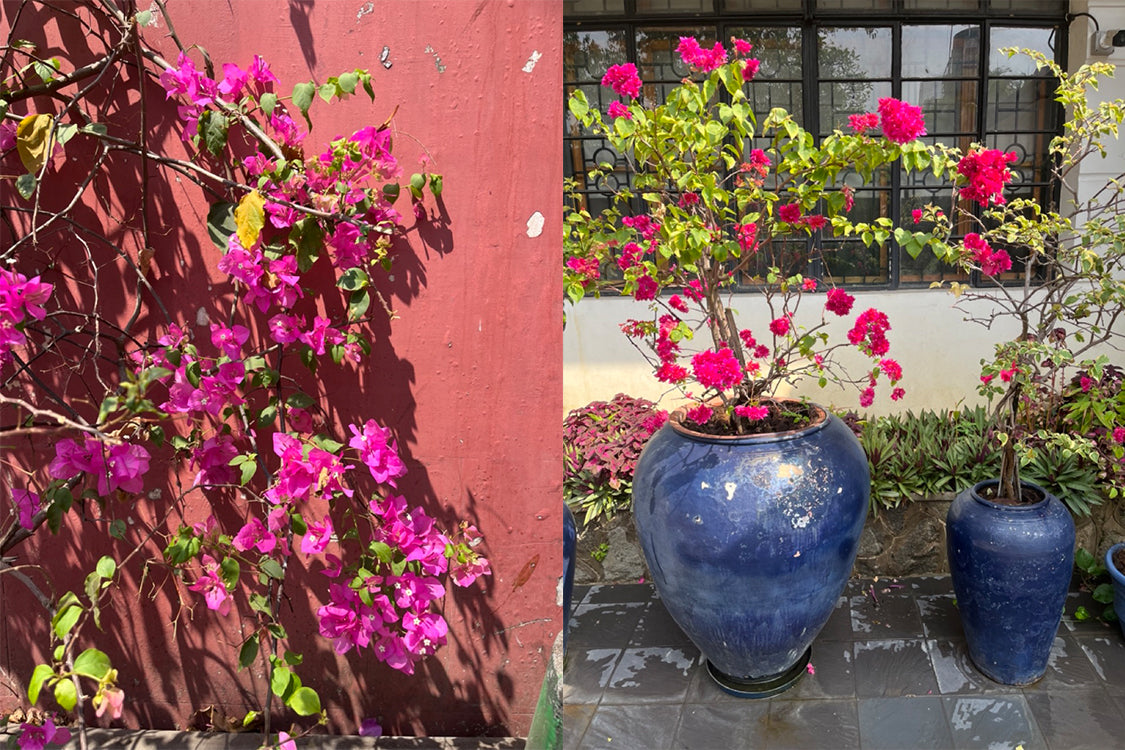 An Update from Burma: March 2024