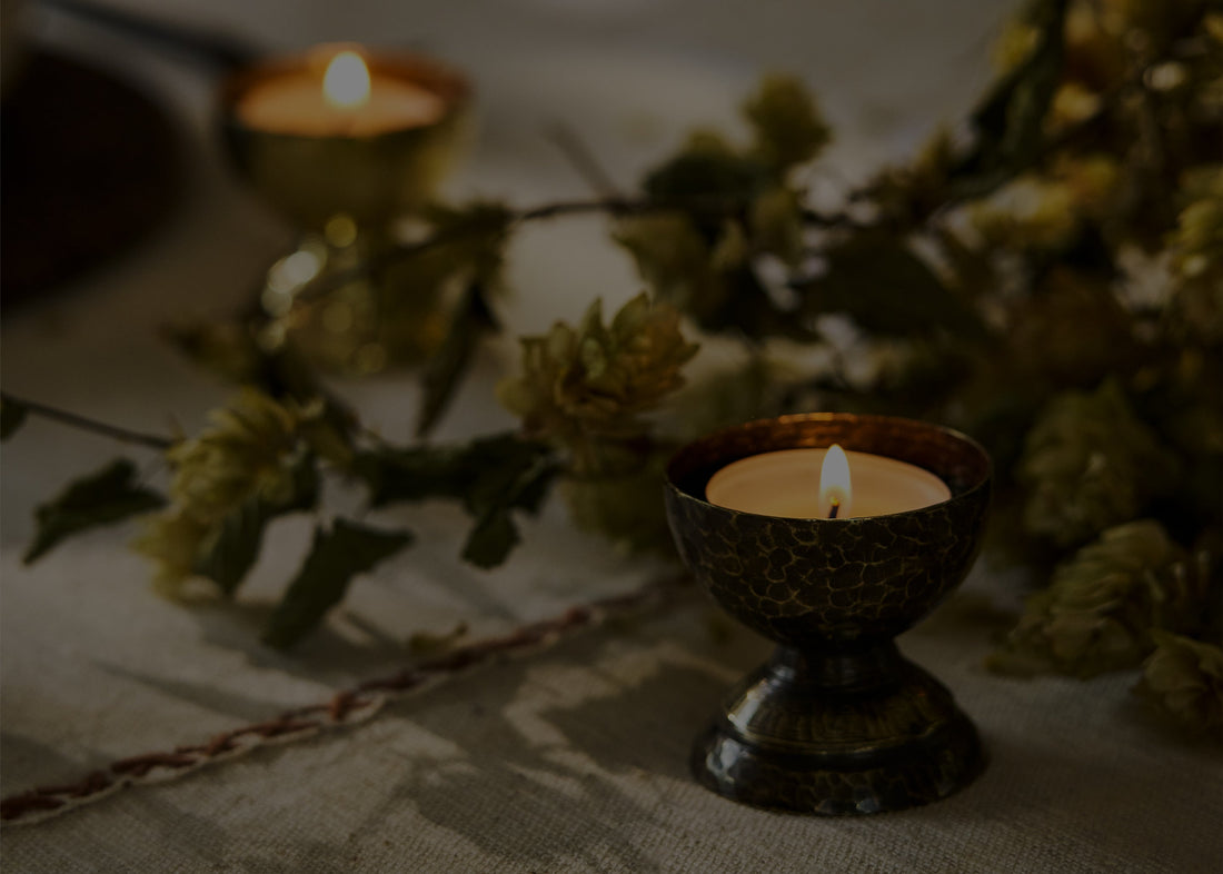 The Black Friday Edit