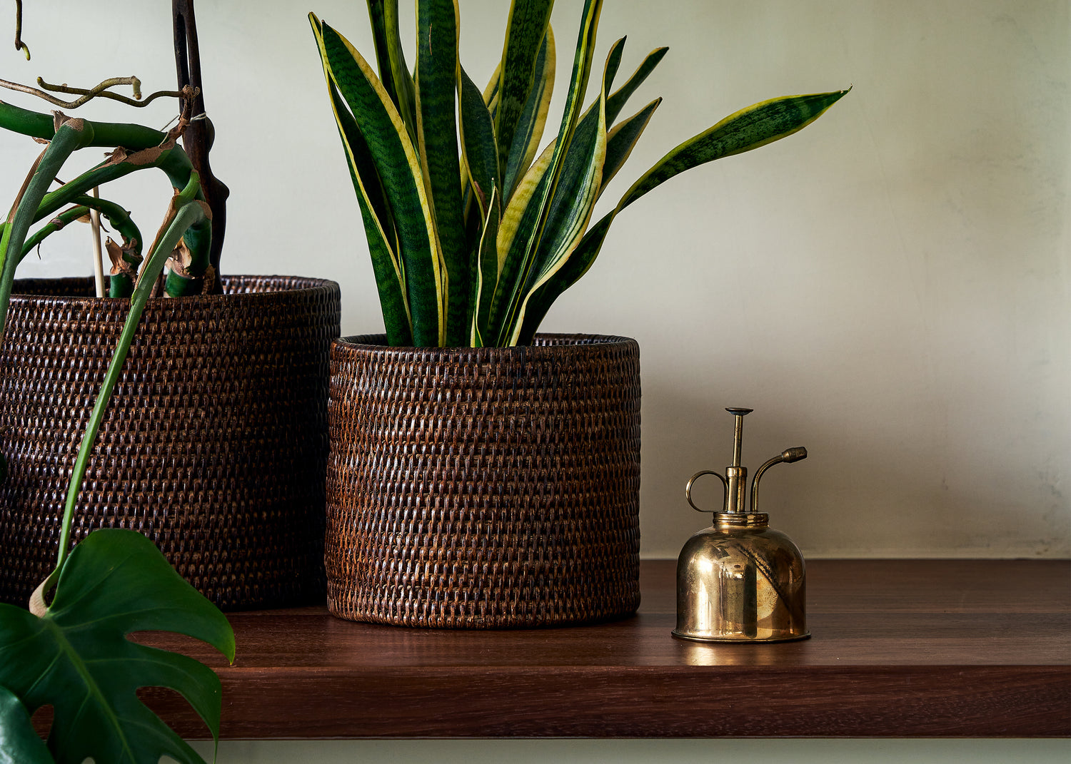 Planters &amp; Vases