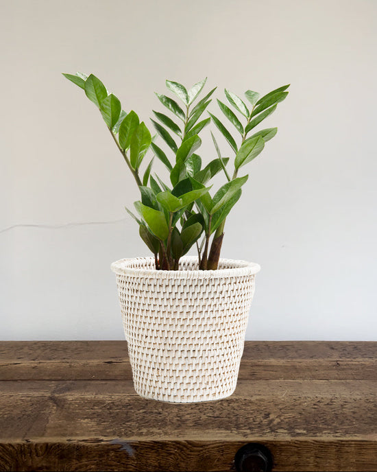Kanbalu Planter