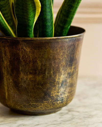Golden Trumpet Brass Planter