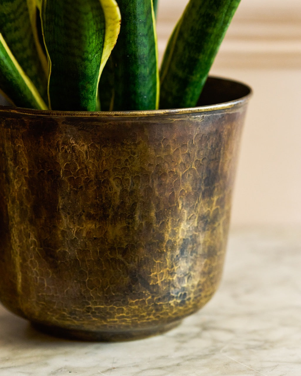 Golden Trumpet Brass Planter