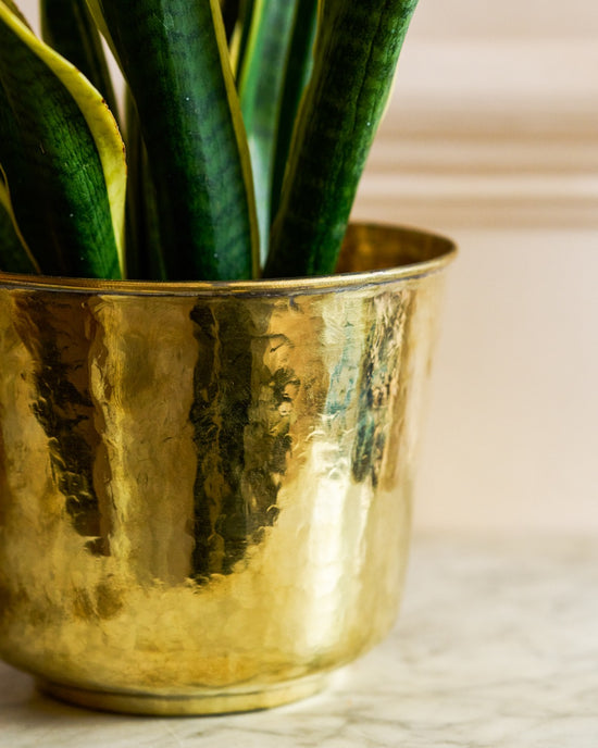 Golden Trumpet Brass Planter