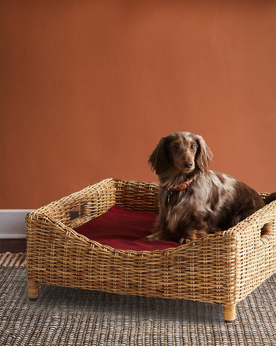 Kway Rattan Pet Bed