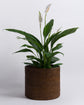 Rangoon Rattan Planter