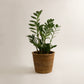 BLACK FRIDAY Small Kanbalu Planter