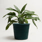Kanbalu Planter | Dark Green | Large