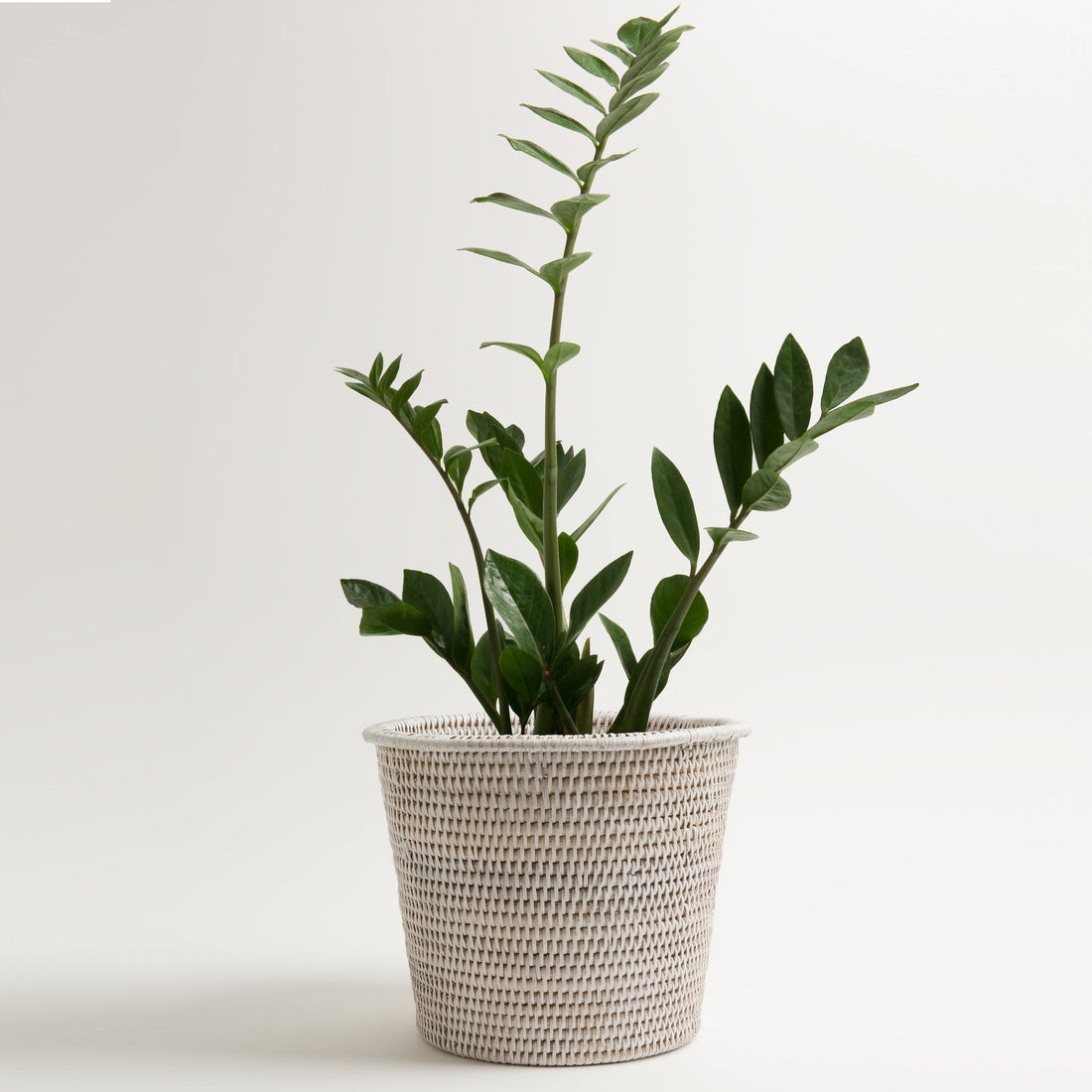 Kanbalu Planter | Small, Medium &amp; Large