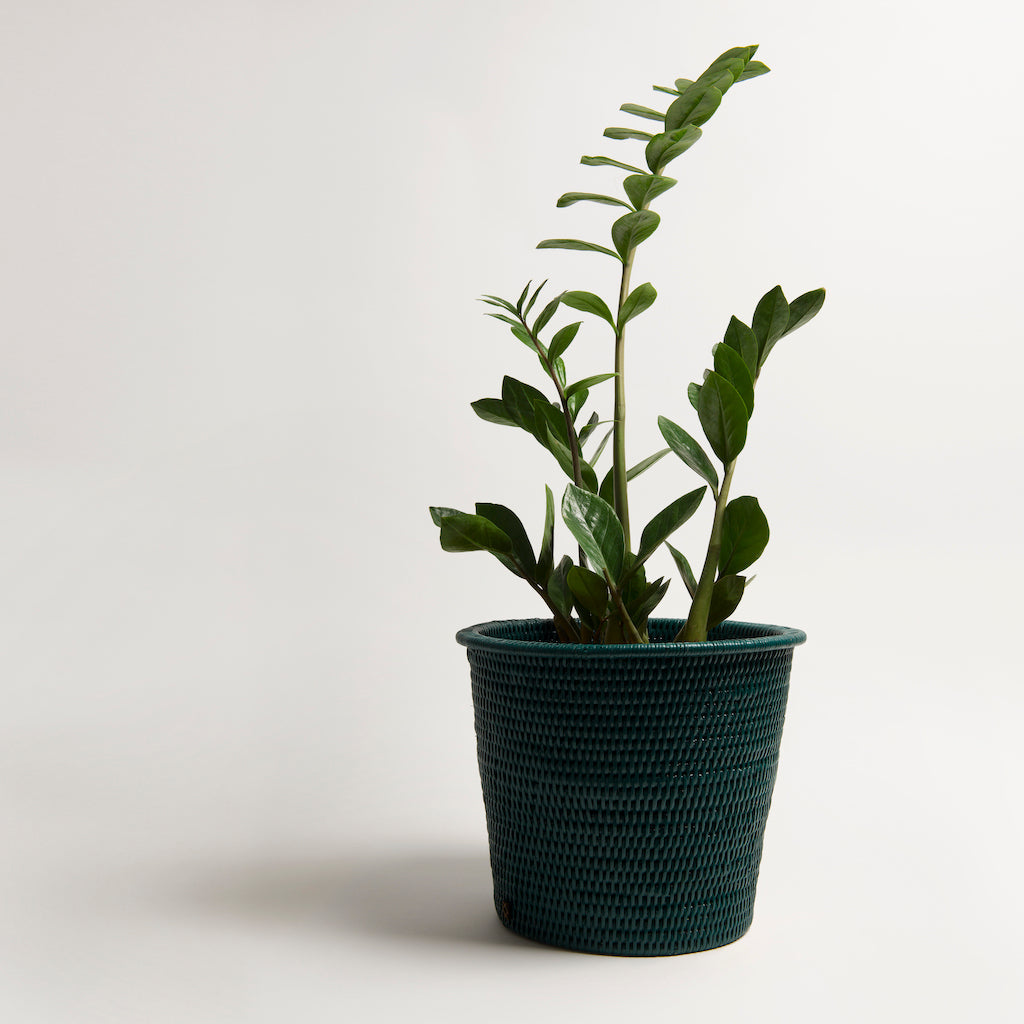 Kanbalu Planter | Small, Medium &amp; Large