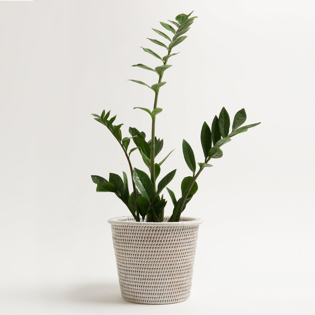Kanbalu Planter | Small, Medium &amp; Large