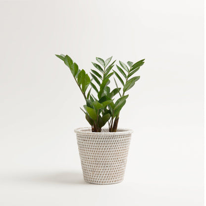 Kanbalu Planter | Small, Medium &amp; Large