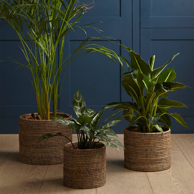 rattan plant pot Rattan Planter Pot - Brown or Grey