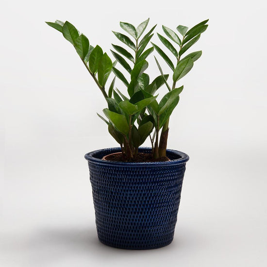 Kanbalu Planter | Dark Blue | Medium