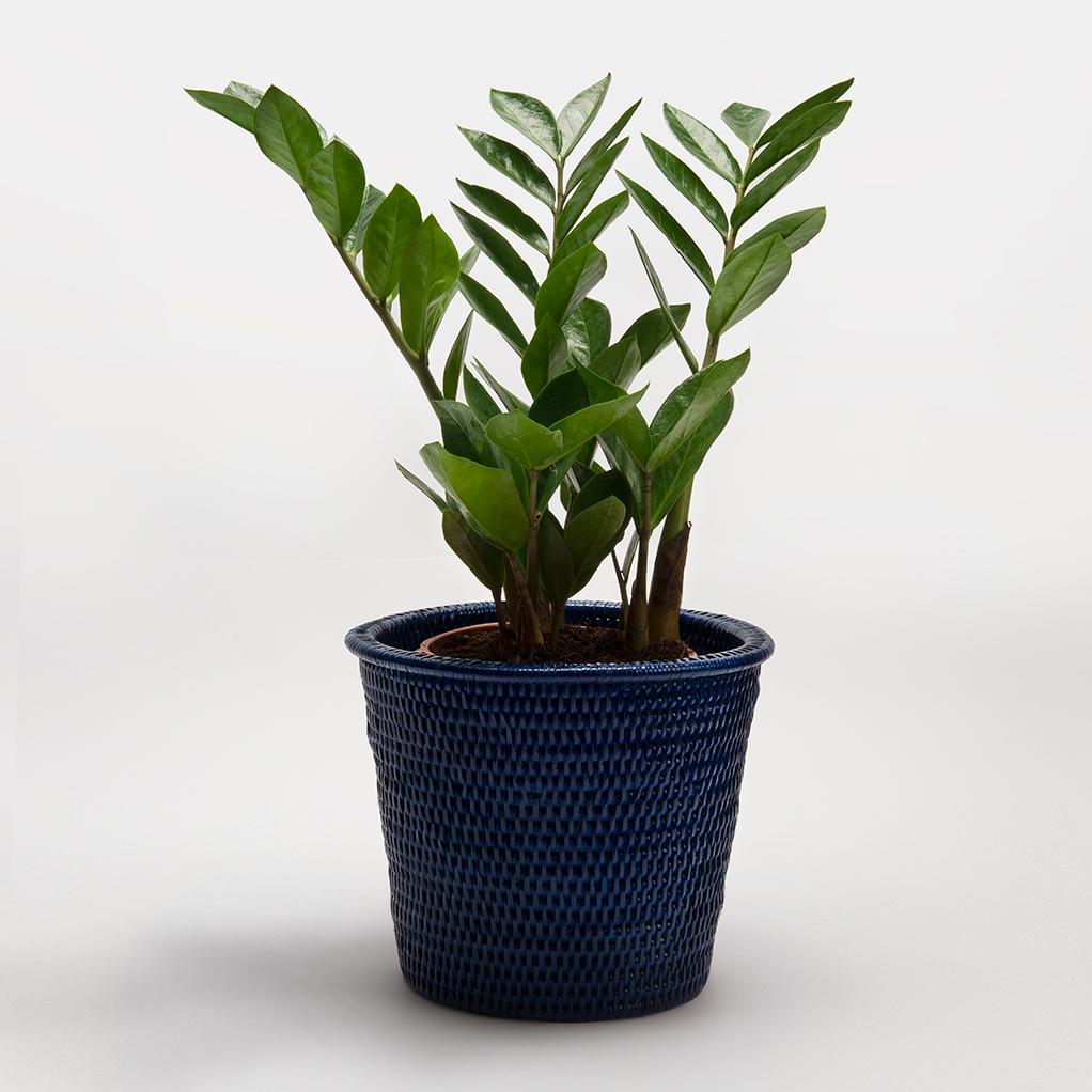 Kanbalu Planter | Small, Medium &amp; Large