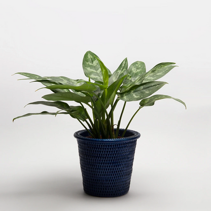 Kanbalu Planter | Small, Medium &amp; Large